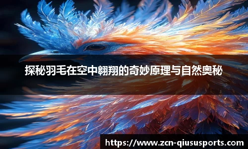 球速体育